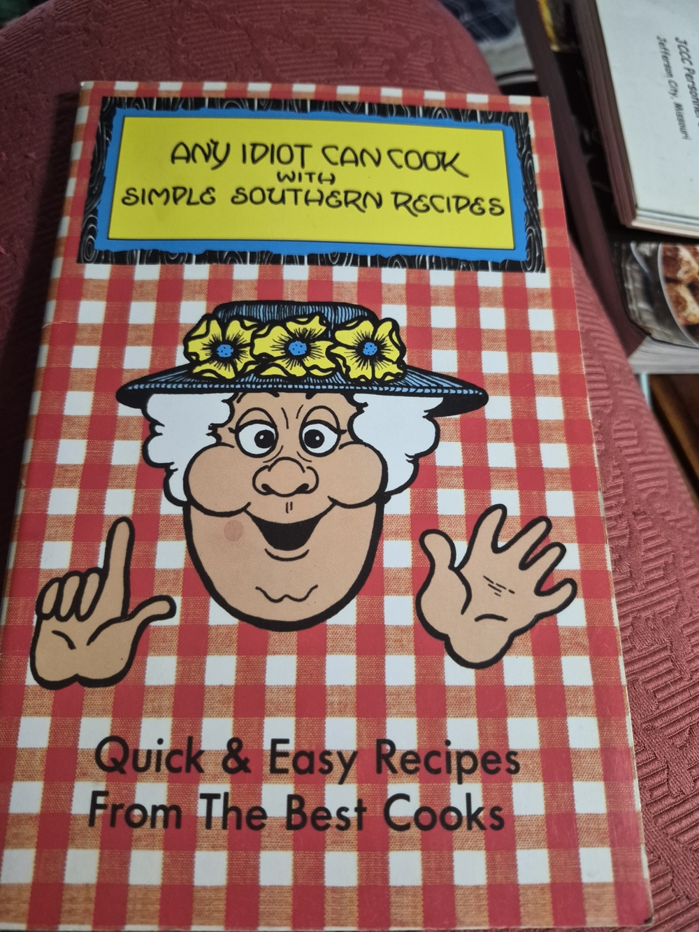 Any Idiot Can Cook - Red Checkered Cookbook